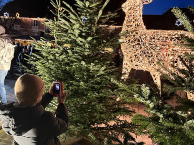 Weihnachtsmarkt Fürstenfeld 2025